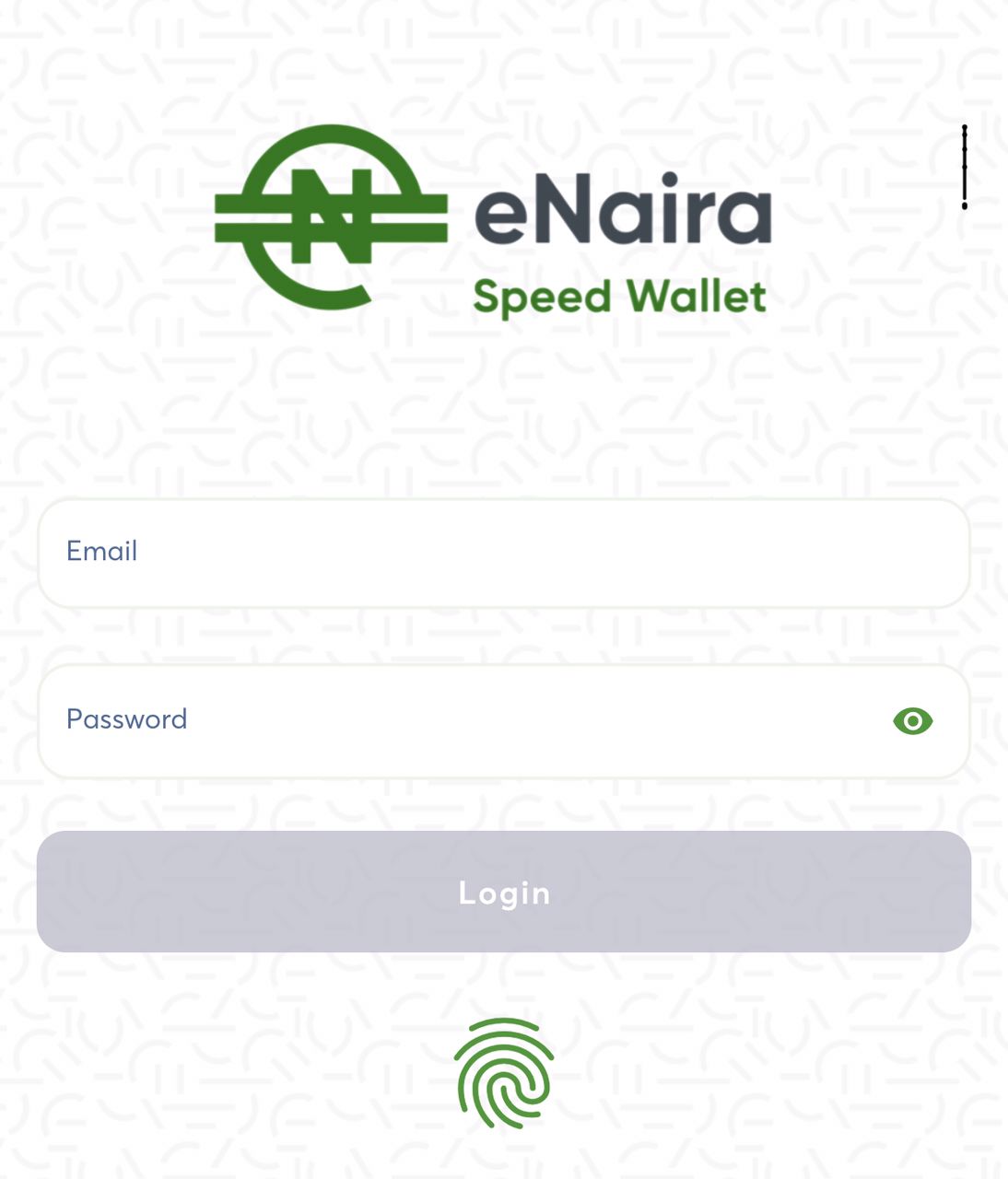 The Ultimate Guide to Enaira Wallet