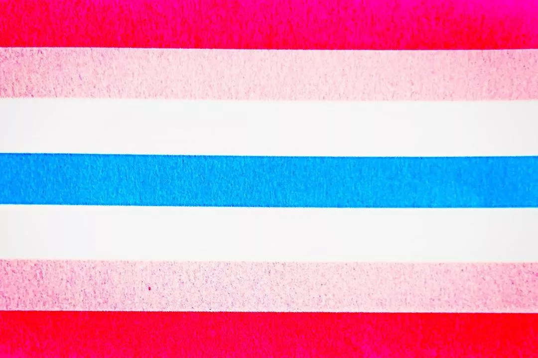 femboy flag